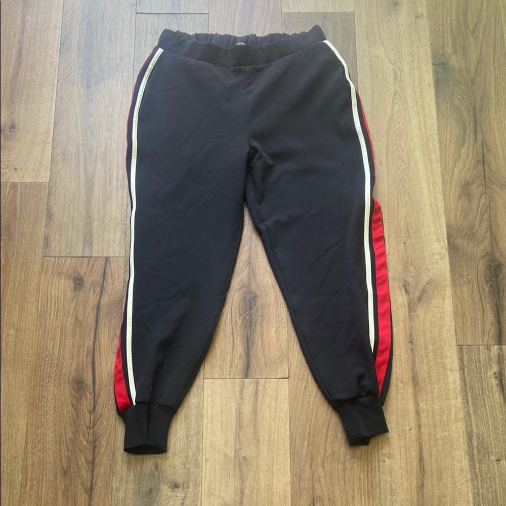 Zara Basic Black Pants